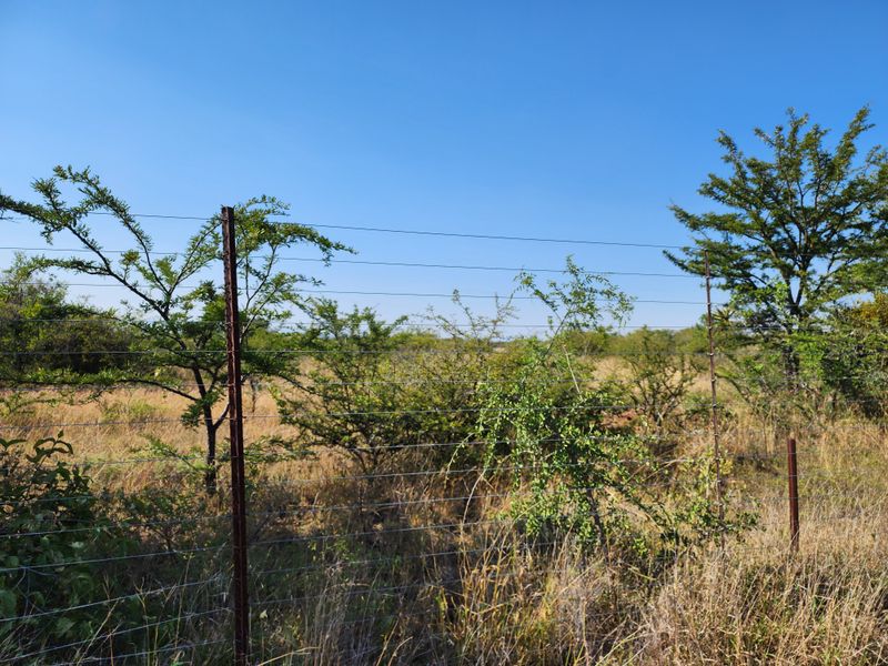 8.5ha Agricultural Plots for Sale | Prime Location Along R71 | 62 Plots Available - Photo 4