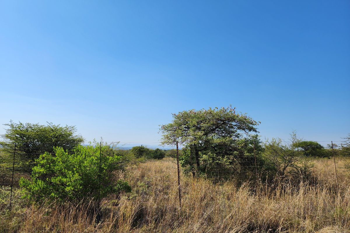 8.5ha Agricultural Plots for Sale | Prime Location Along R71 | 62 Plots Available - Photo 5