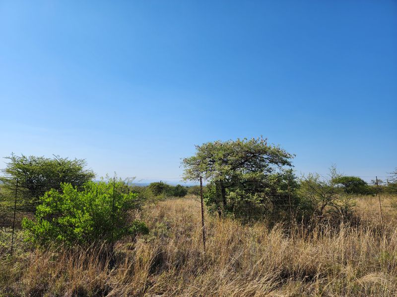 8.5ha Agricultural Plots for Sale | Prime Location Along R71 | 62 Plots Available - Photo 5