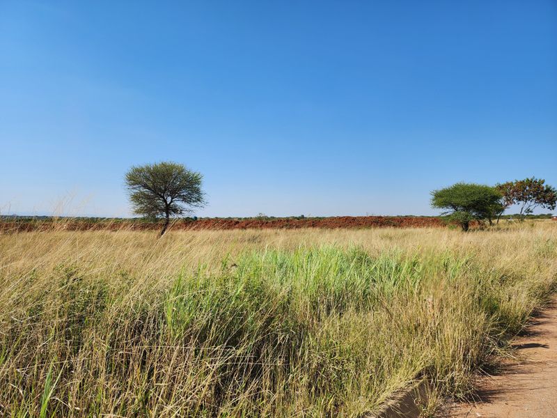 8.5ha Agricultural Plots for Sale | Prime Location Along R71 | 62 Plots Available - Photo 8