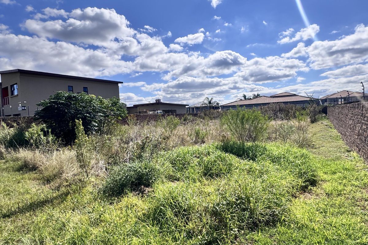 A rare gem in the heart of Aerorand - Photo 4