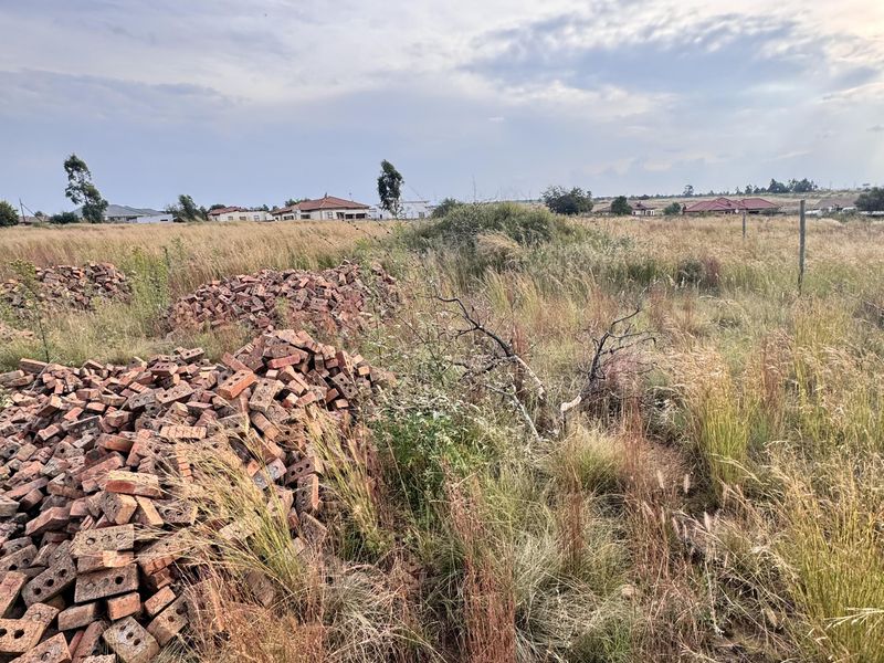 Spacious 1311m2 Stand for Sale in Pine Ridge – Quiet & Peaceful Location - Photo 2