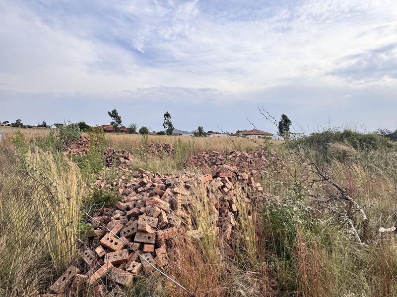 Spacious 1311m2 Stand for Sale in Pine Ridge – Quiet & Peaceful Location - Photo 3