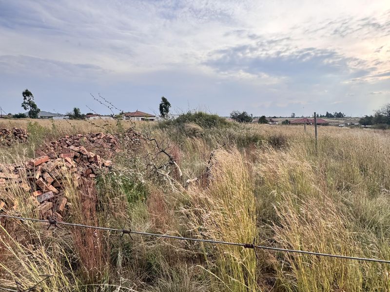 Spacious 1311m2 Stand for Sale in Pine Ridge – Quiet & Peaceful Location - Photo 4