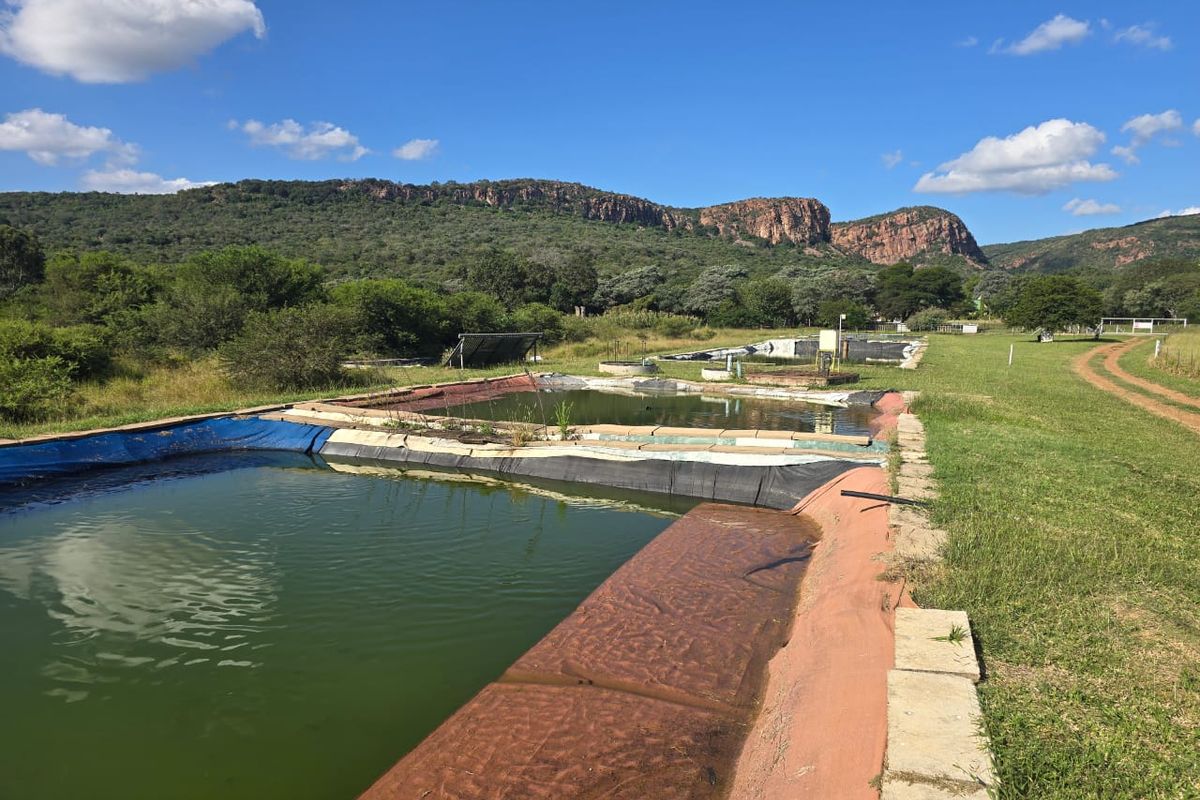 484Ha Farm with Established Aquaculture & Dual Housing – Exceptional Investment Opportunity - Photo 2