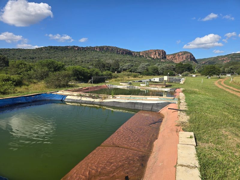 484Ha Farm with Established Aquaculture & Dual Housing – Exceptional Investment Opportunity - Photo 2