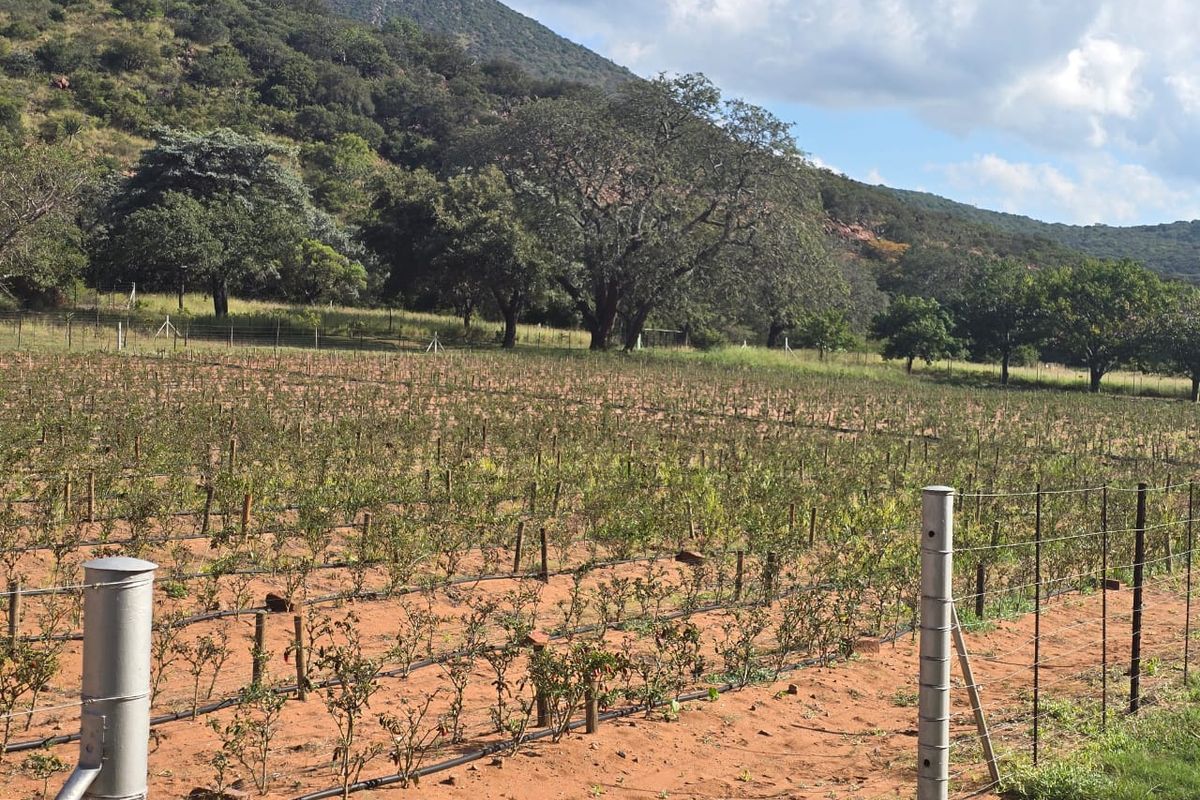 484Ha Farm with Established Aquaculture & Dual Housing – Exceptional Investment Opportunity - Photo 3