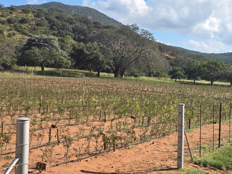 484Ha Farm with Established Aquaculture & Dual Housing – Exceptional Investment Opportunity - Photo 3