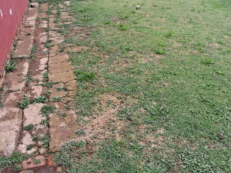 Charming 2-Bedroom Starter Home in Unitas Park, Vereeniging. - Photo 10