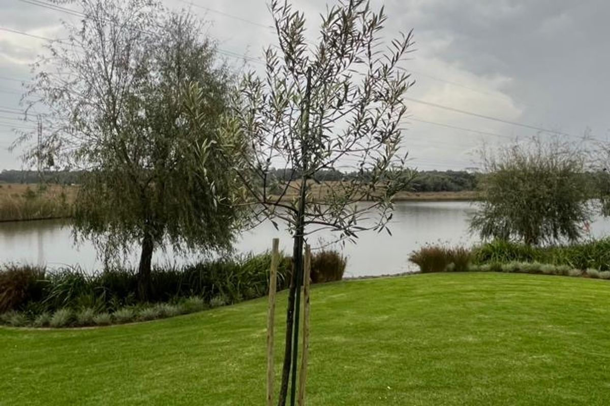 Listing Heading: Prime Waterfront Stand in Roberts Estate – Borehole Included - Photo 4