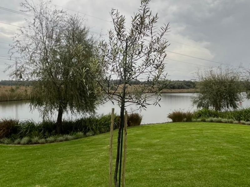 Listing Heading: Prime Waterfront Stand in Roberts Estate – Borehole Included - Photo 4