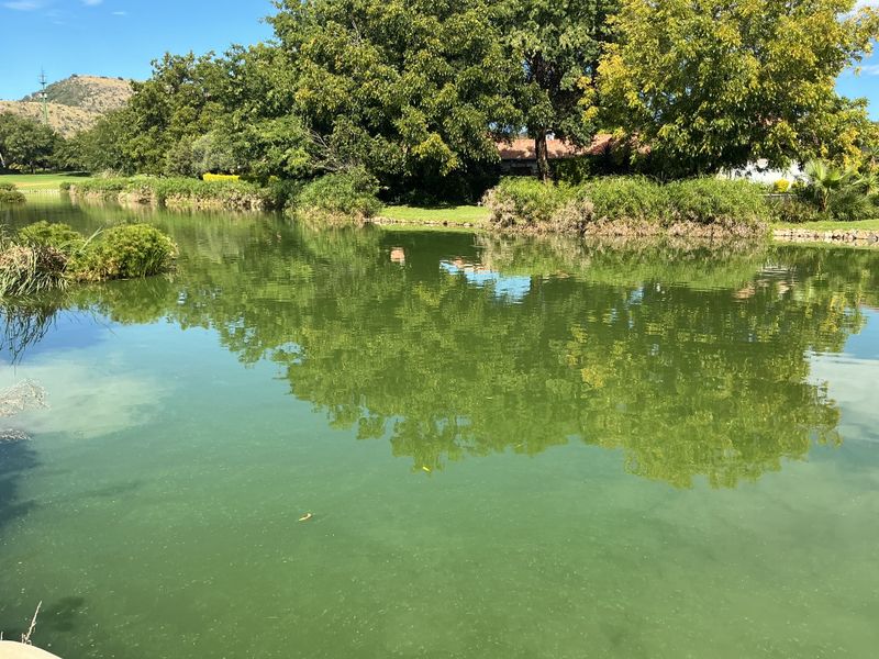 A beautifully renovated home with stunning inland dam views. - Photo 7