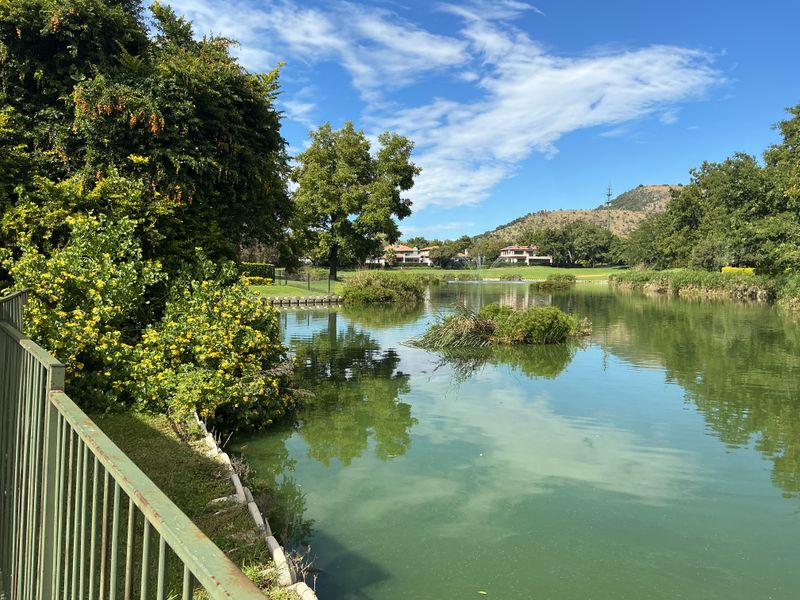 A beautifully renovated home with stunning inland dam views. - Photo 6