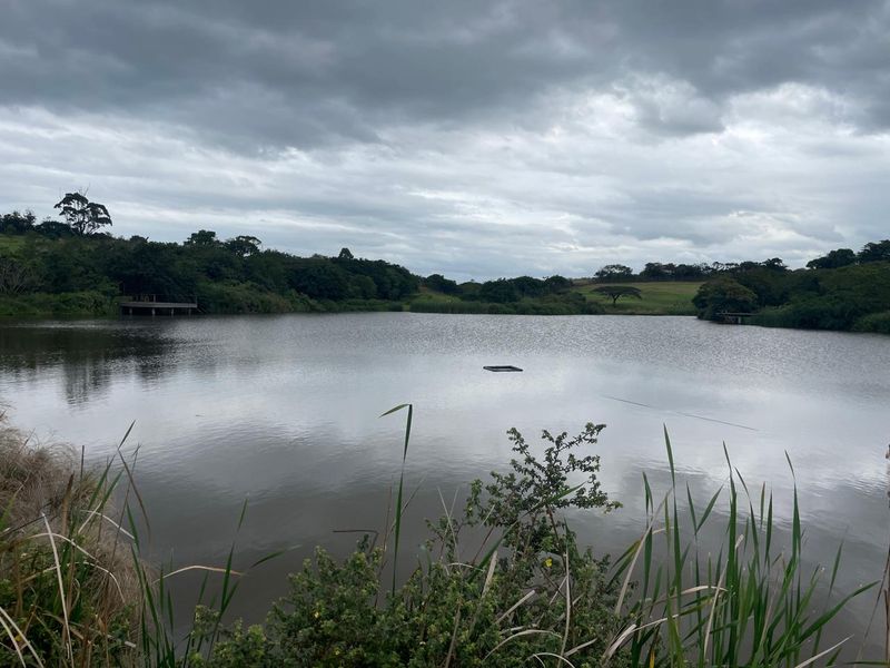 Farm Style Living on KZN North Coast Fairvew Estate Ballito - Photo 10