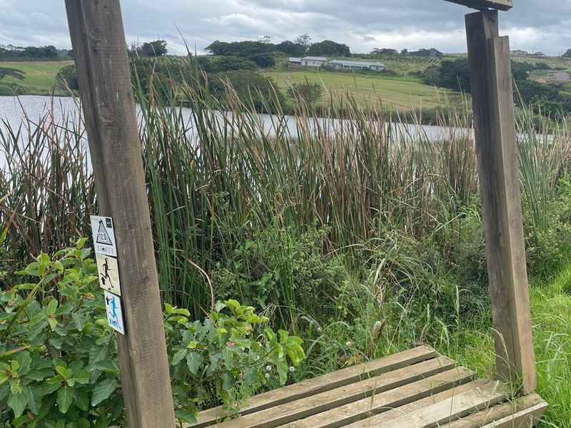 Farm Style Living on KZN North Coast Fairvew Estate Ballito - Photo 9