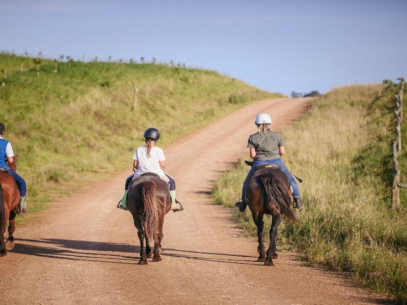Farm Style Living on KZN North Coast Fairvew Estate Ballito - Photo 8