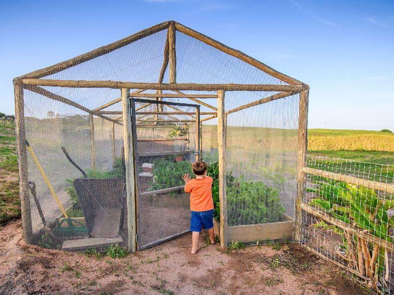 Farm Style Living on KZN North Coast Fairvew Estate Ballito - Photo 6