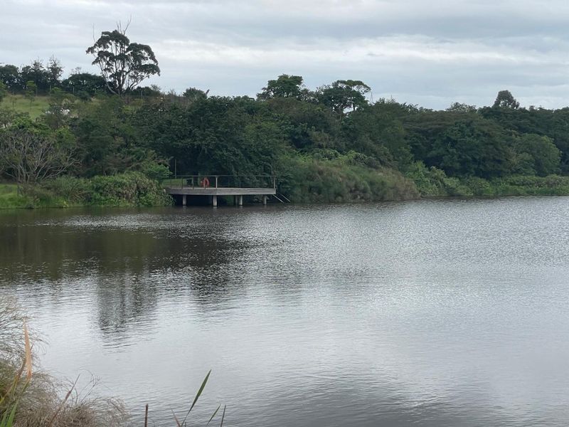 Farm Style Living on KZN North Coast Fairvew Estate Ballito - Photo 2