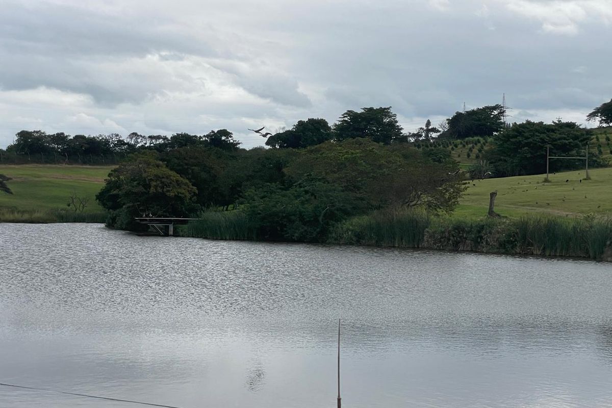 Farm Style Living on KZN North Coast Fairvew Estate Ballito - Photo 3