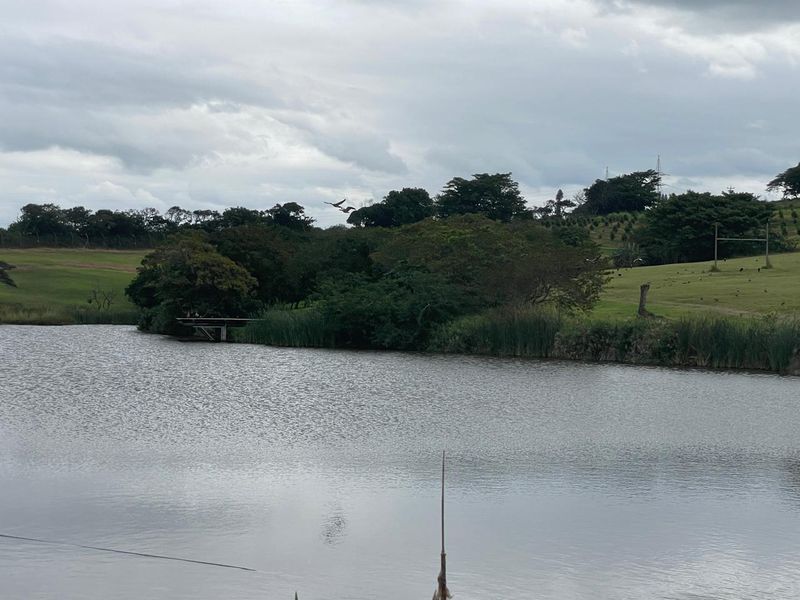 Farm Style Living on KZN North Coast Fairvew Estate Ballito - Photo 3