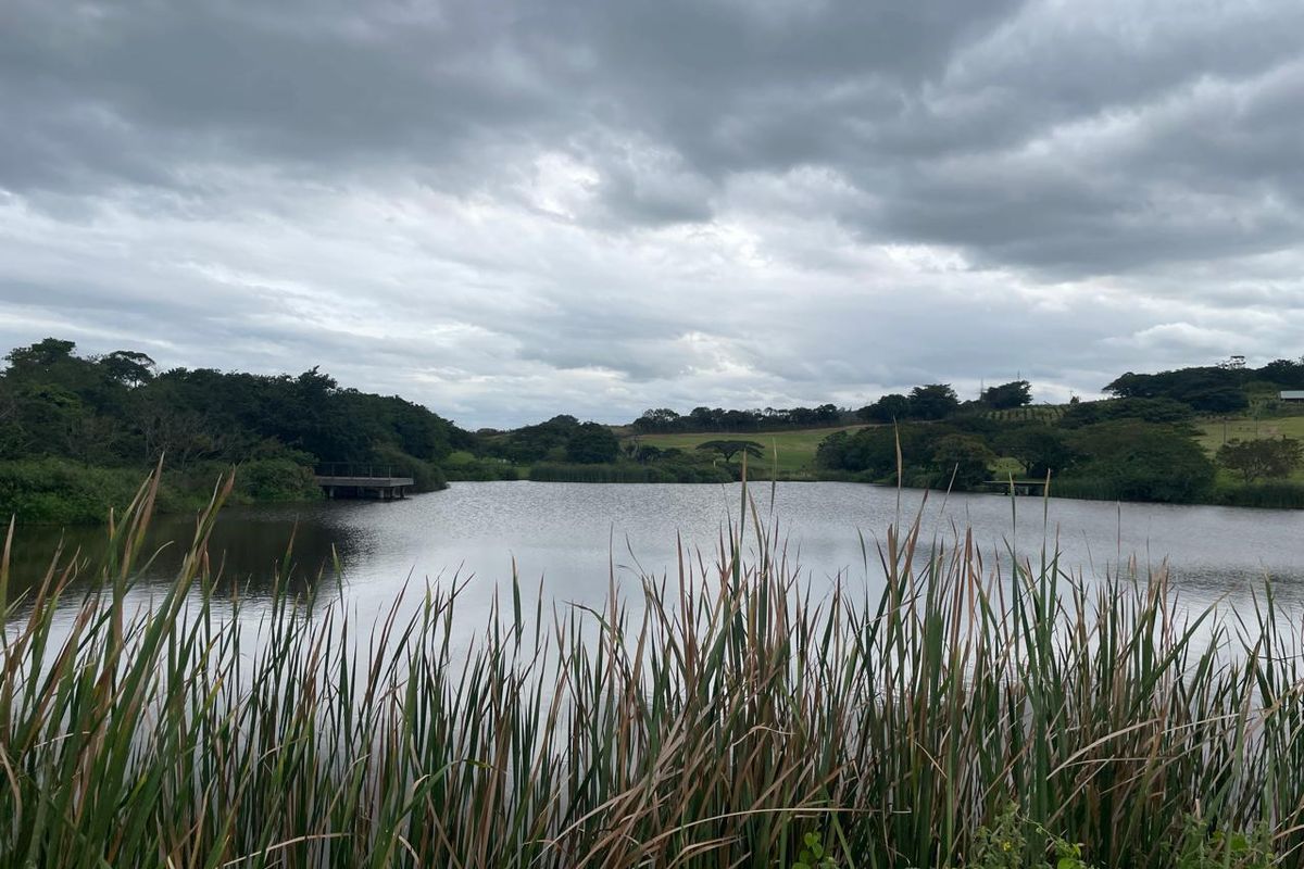 Farm Style Living on KZN North Coast Fairvew Estate Ballito - Photo 4