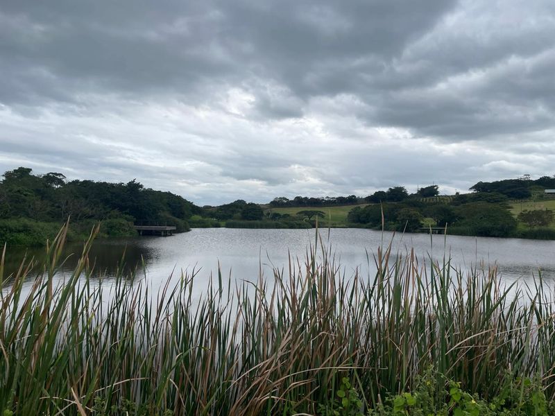 Farm Style Living on KZN North Coast Fairvew Estate Ballito - Photo 4