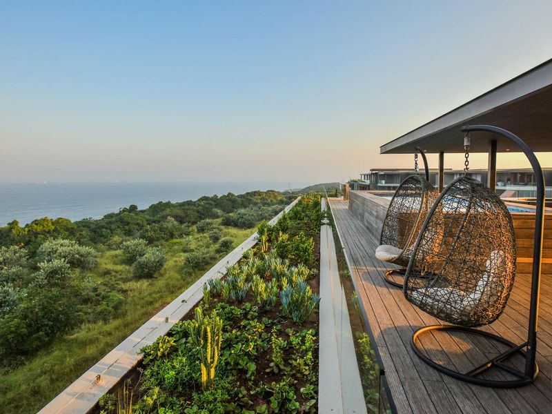 Lifestyle advantage: Health Benefits of living by the ocean - Photo 8