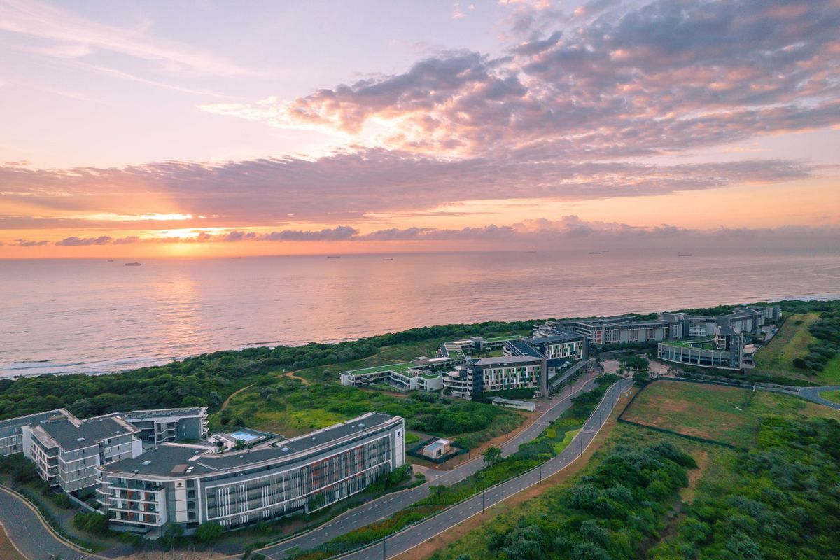 Lifestyle advantage: Health Benefits of living by the ocean - Photo 5