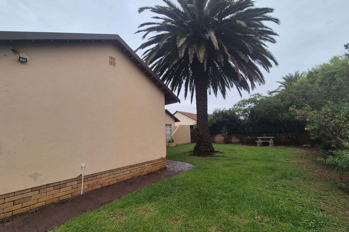 A view of the rear garden featuring a large palm tree, paved walkway, and lawn area adjacent to the house exterior.
