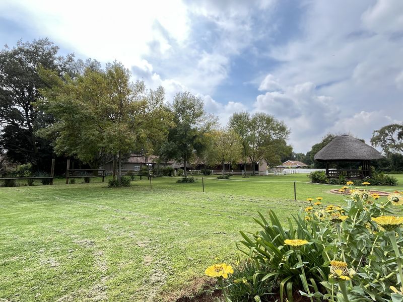 Smallholding offering everything with Indoor Arena or workshop for Sale in Bredell - Photo 5