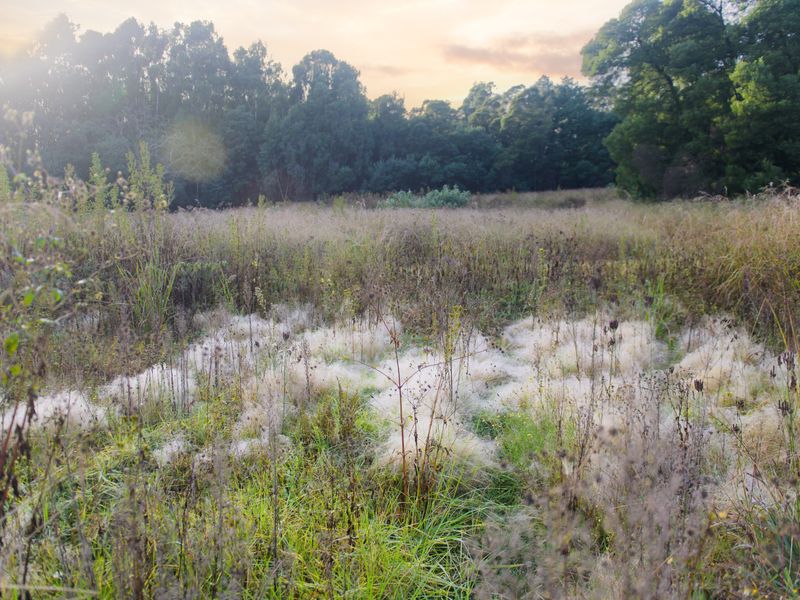 Vacant Land Residential For Sale In Nottingham Road - Photo 3