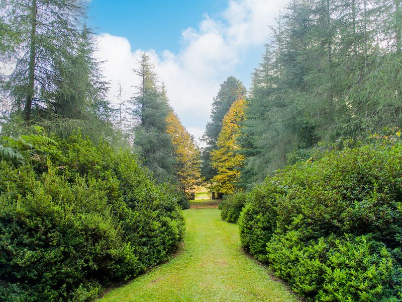 Vacant Land Residential For Sale In Nottingham Road - Photo 6