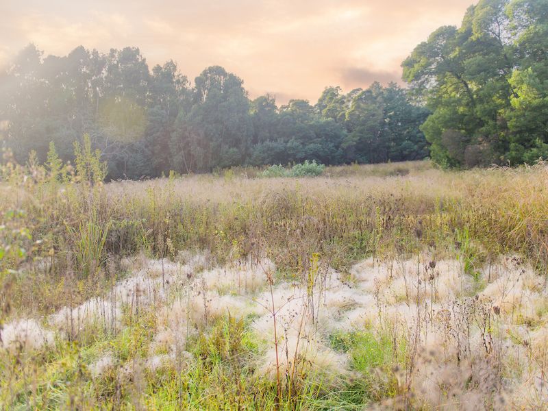 Vacant Land Residential For Sale In Nottingham Road - Photo 4