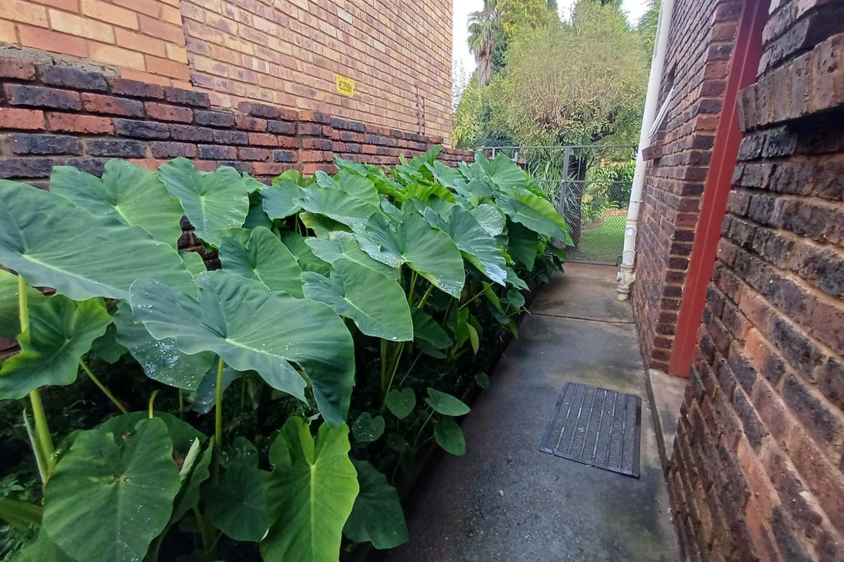 A narrow side passage featuring brick walls, a concrete walkway, and established foliage leading toward a rear garden gate.