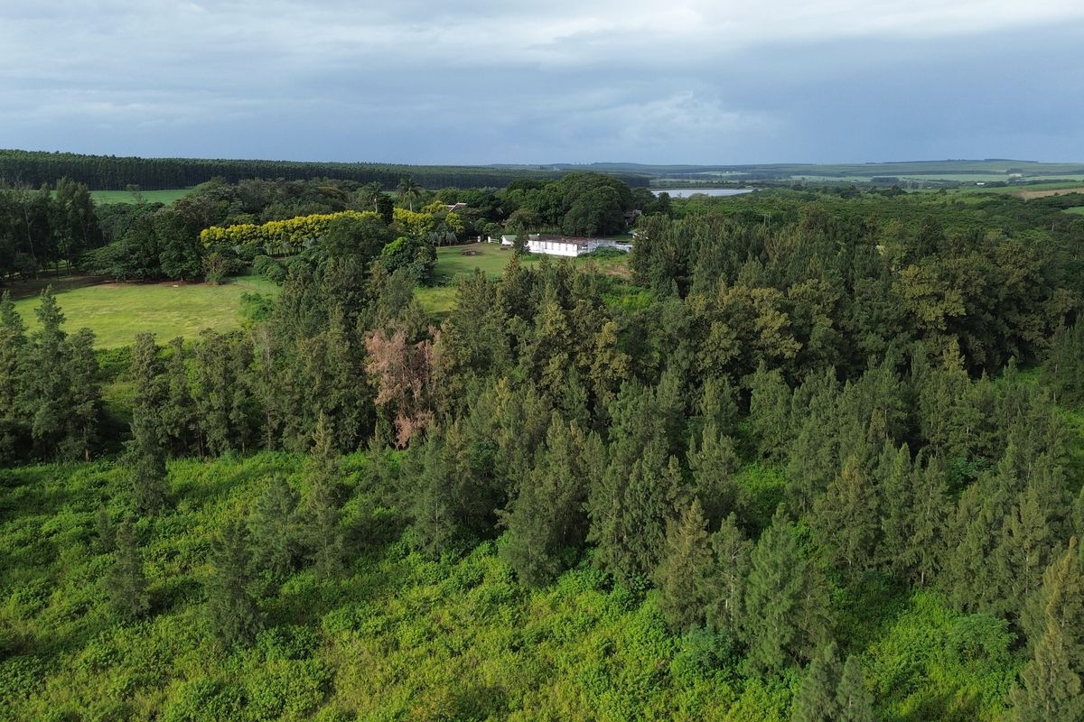 Farm and The GuestHouse in Gingindlovu / Mtunzini  - 24.5 Hectares - Photo 5