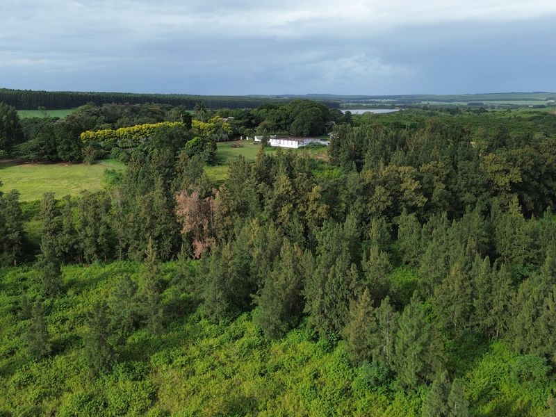 Farm and The GuestHouse in Gingindlovu / Mtunzini  - 24.5 Hectares - Photo 5