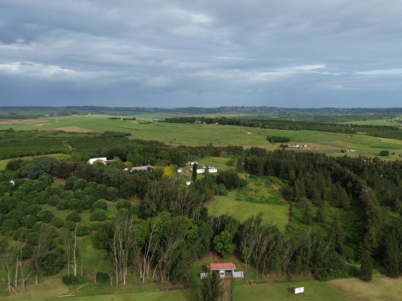 Farm and The GuestHouse in Gingindlovu / Mtunzini  - 24.5 Hectares - Photo 10