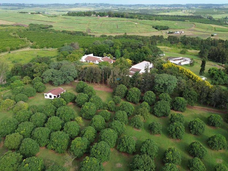 Farm and The GuestHouse in Gingindlovu / Mtunzini  - 24.5 Hectares - Photo 6