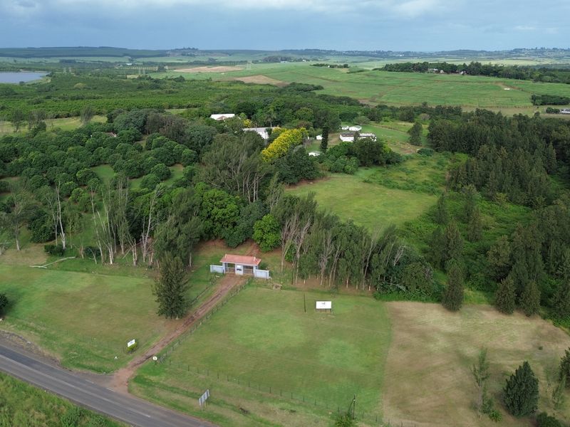 Farm and The GuestHouse in Gingindlovu / Mtunzini  - 24.5 Hectares - Photo 9