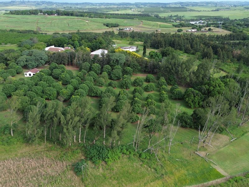 Farm and The GuestHouse in Gingindlovu / Mtunzini  - 24.5 Hectares - Photo 8