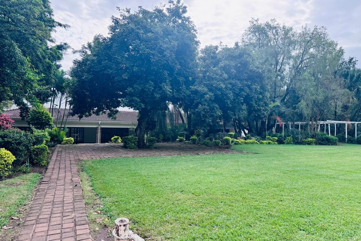 Farm and The GuestHouse in Gingindlovu / Mtunzini  - 24.5 Hectares - Photo 3