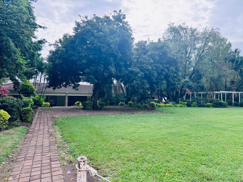 Farm and The GuestHouse in Gingindlovu / Mtunzini  - 24.5 Hectares - Photo 3