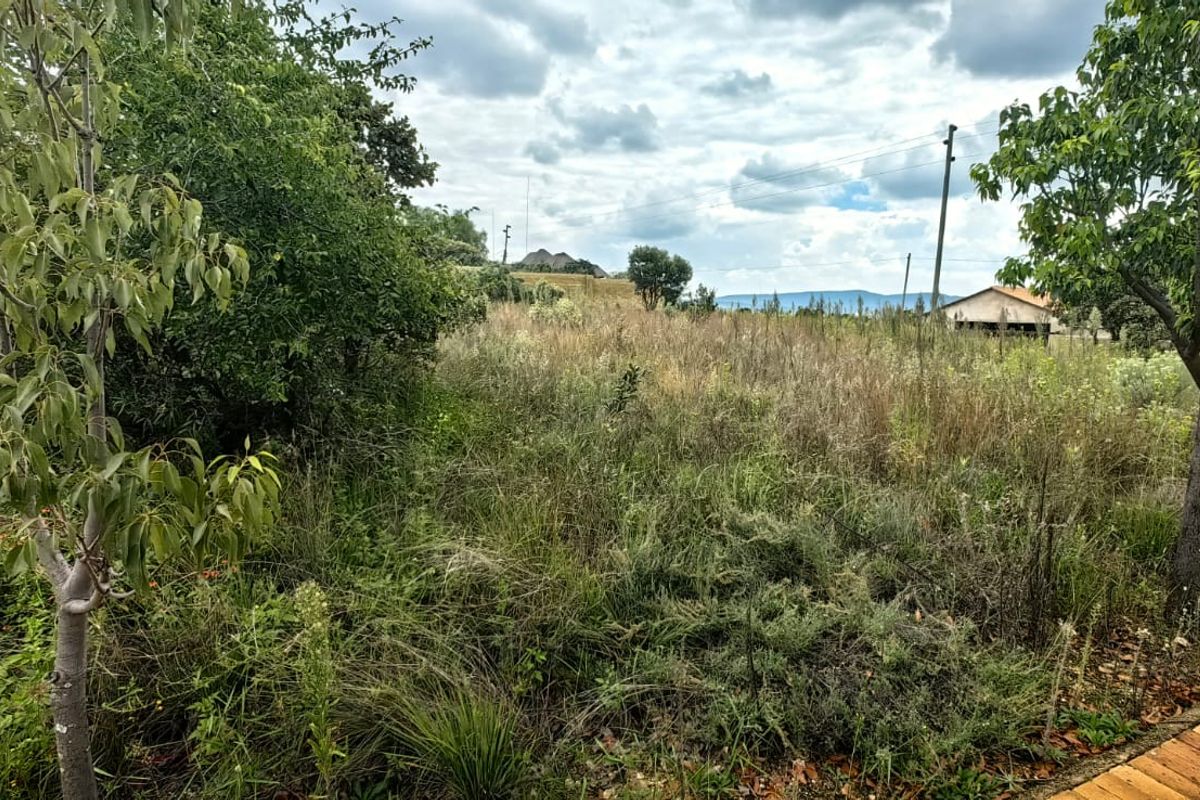 Vacant Stand for Sale – Build Your Dream - Photo 3