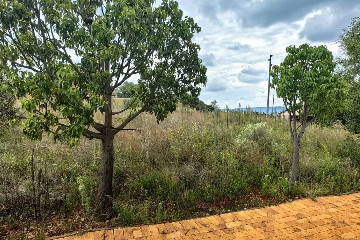 Vacant Stand for Sale – Build Your Dream - Photo 2