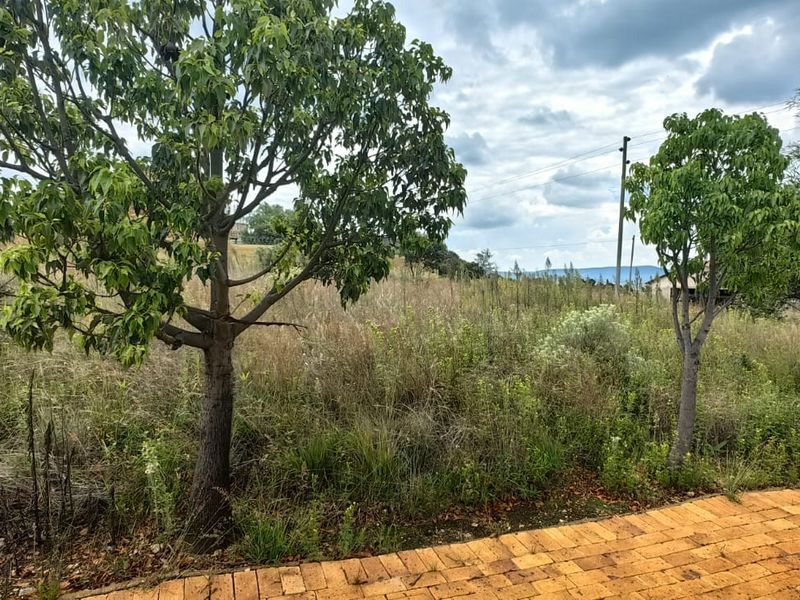 Vacant Stand for Sale – Build Your Dream - Photo 2