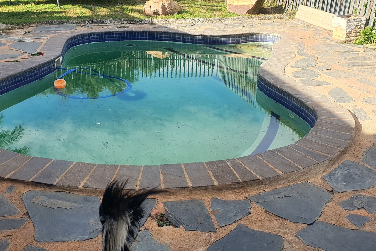 Beautiful home in Rensburg Heidelberg - Photo 3