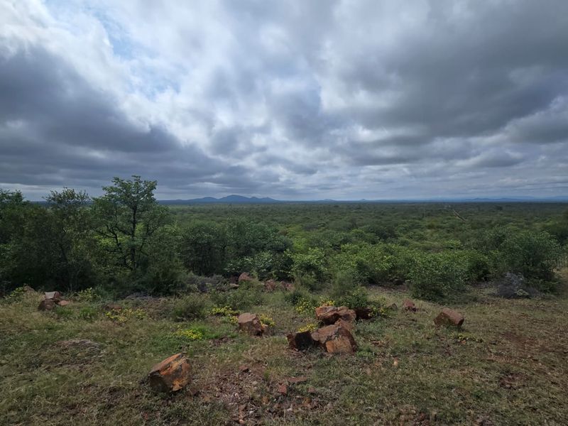2973Ha Game & Cattle Farm for Sale | Musina / Alldays Area - Photo 1