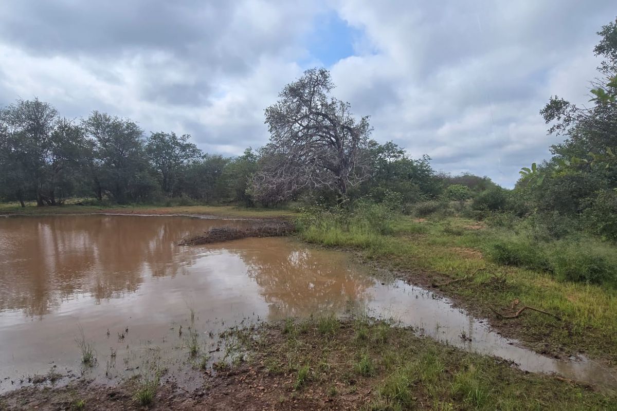 2973Ha Game & Cattle Farm for Sale | Musina / Alldays Area - Photo 5