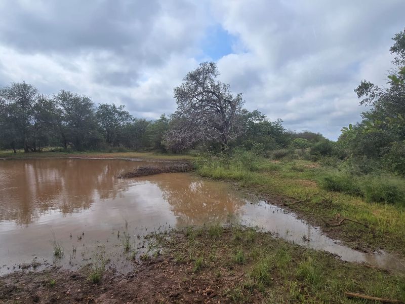 2973Ha Game & Cattle Farm for Sale | Musina / Alldays Area - Photo 5