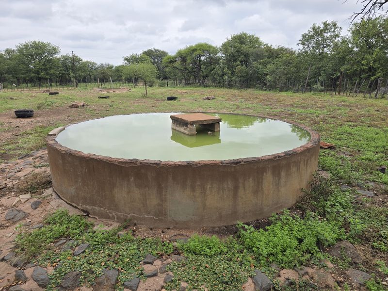 2973Ha Game & Cattle Farm for Sale | Musina / Alldays Area - Photo 7